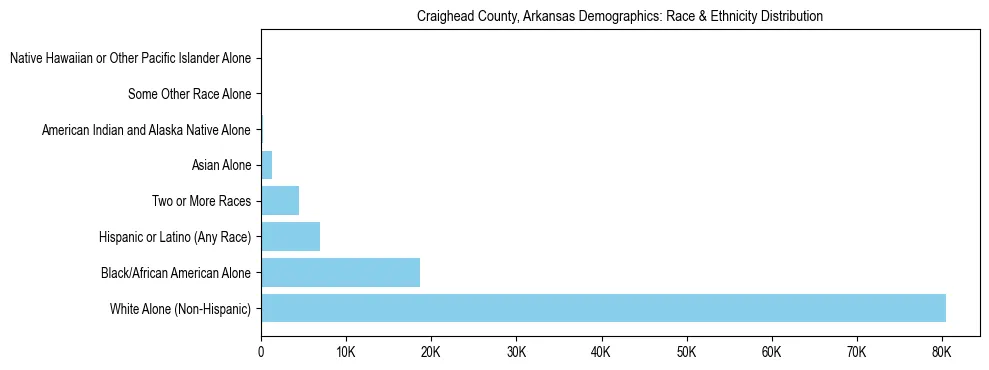 Race and Ethnicity Distribution Chart for Craighead County, Arkansas