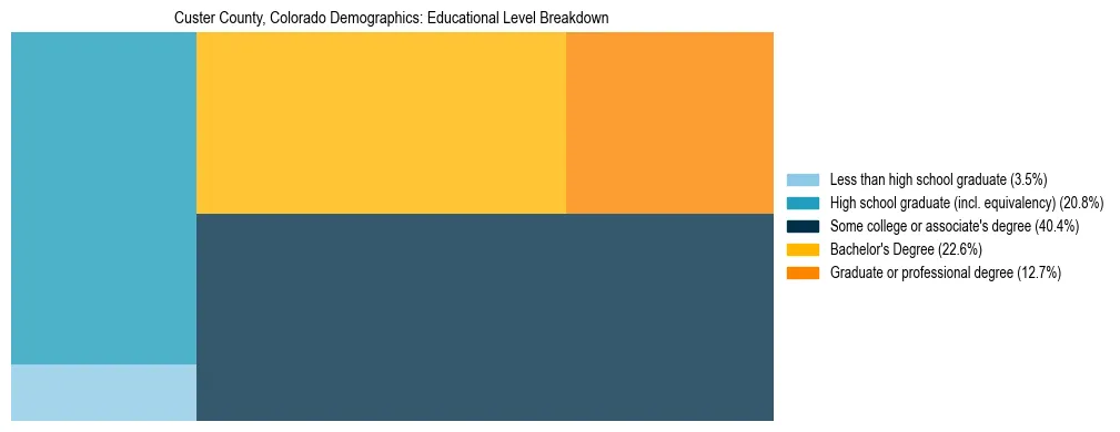 Treemap chart illustrating the educational attainment breakdown for population 25 years and over in Custer County, Colorado.