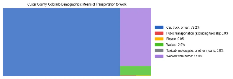 Treemap showing means of transportation to work distribution in Custer County, Colorado.
