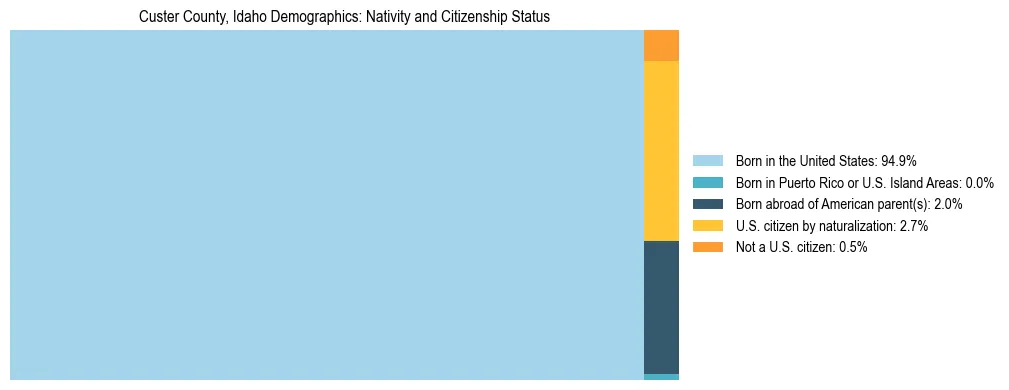 Treemap showing the population distribution by nativity and citizenship status in Custer County, Idaho based on U.S. Census data.