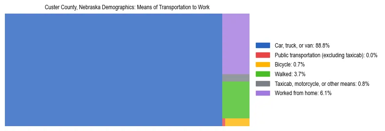 Treemap showing means of transportation to work distribution in Custer County, Nebraska.