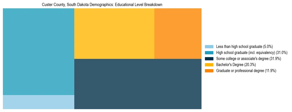 Treemap chart illustrating the educational attainment breakdown for population 25 years and over in Custer County, South Dakota.