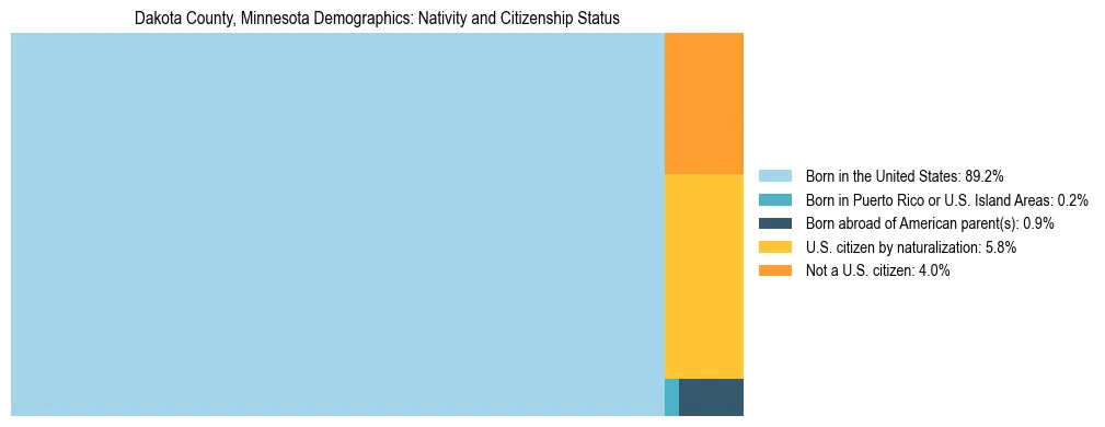 Treemap showing the population distribution by nativity and citizenship status in Dakota County, Minnesota based on U.S. Census data.