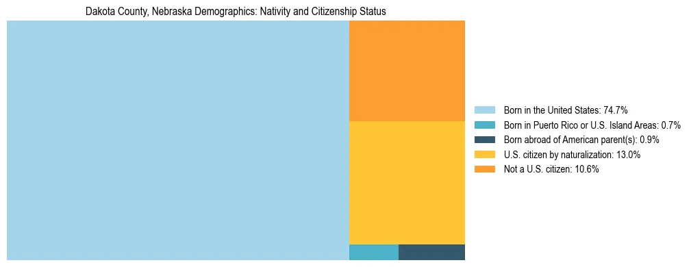 Treemap showing the population distribution by nativity and citizenship status in Dakota County, Nebraska based on U.S. Census data.