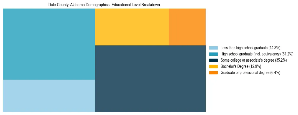 Treemap chart illustrating the educational attainment breakdown for population 25 years and over in Dale County, Alabama.
