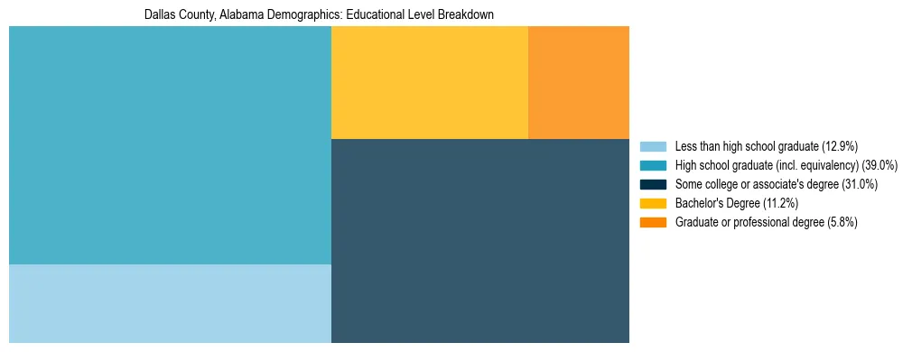 Treemap chart illustrating the educational attainment breakdown for population 25 years and over in Dallas County, Alabama.