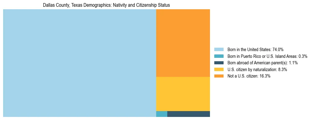 Treemap showing the population distribution by nativity and citizenship status in Dallas County, Texas based on U.S. Census data.