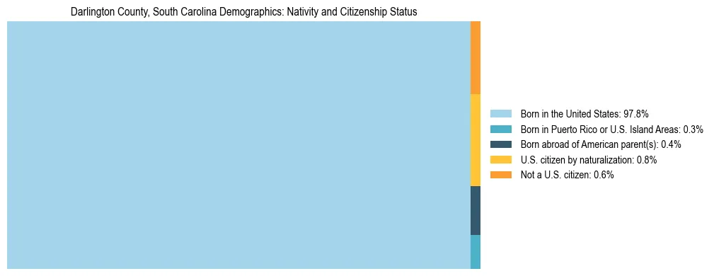 Treemap showing the population distribution by nativity and citizenship status in Darlington County, South Carolina based on U.S. Census data.