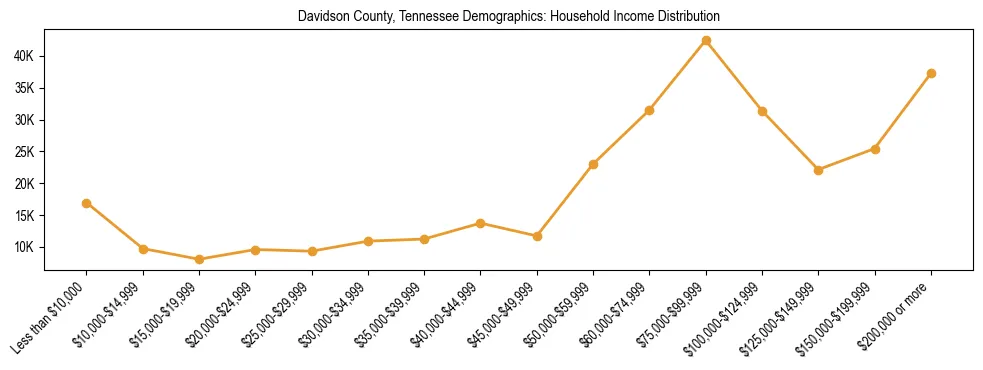 Horizontal bar chart showing household income distribution in Davidson County, Tennessee.