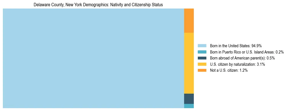 Treemap showing the population distribution by nativity and citizenship status in Delaware County, New York based on U.S. Census data.