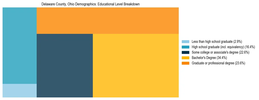 Treemap chart illustrating the educational attainment breakdown for population 25 years and over in Delaware County, Ohio.