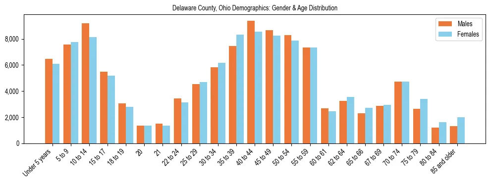 Bar chart showing the population distribution of Delaware County, Ohio by age group and gender, based on 2023 ACS data.