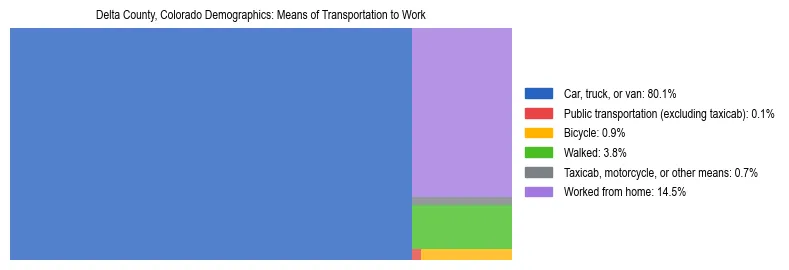 Treemap showing means of transportation to work distribution in Delta County, Colorado.