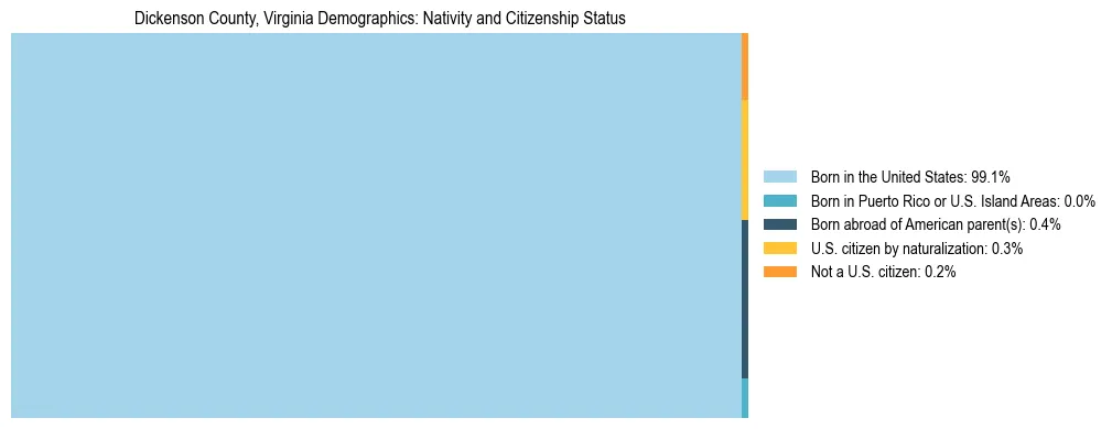 Treemap showing the population distribution by nativity and citizenship status in Dickenson County, Virginia based on U.S. Census data.