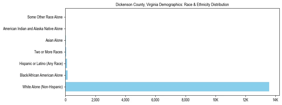 Race and Ethnicity Distribution Chart for Dickenson County, Virginia