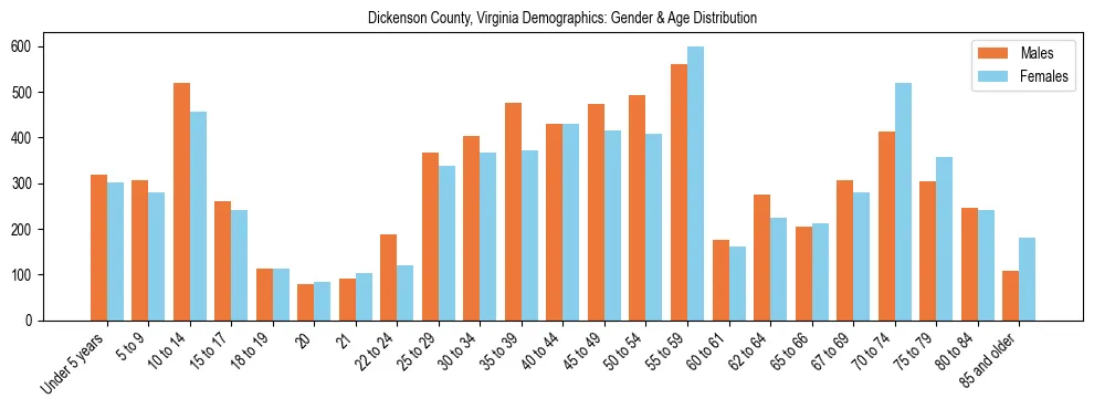 Bar chart showing the population distribution of Dickenson County, Virginia by age group and gender, based on 2023 ACS data.