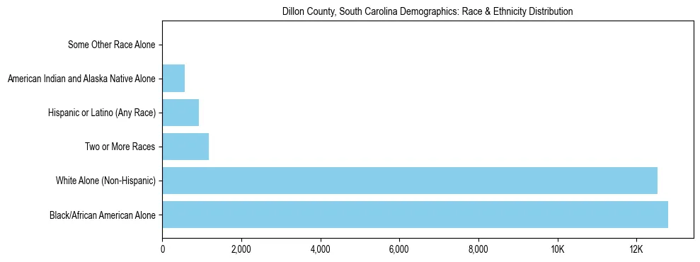 Race and Ethnicity Distribution Chart for Dillon County, South Carolina