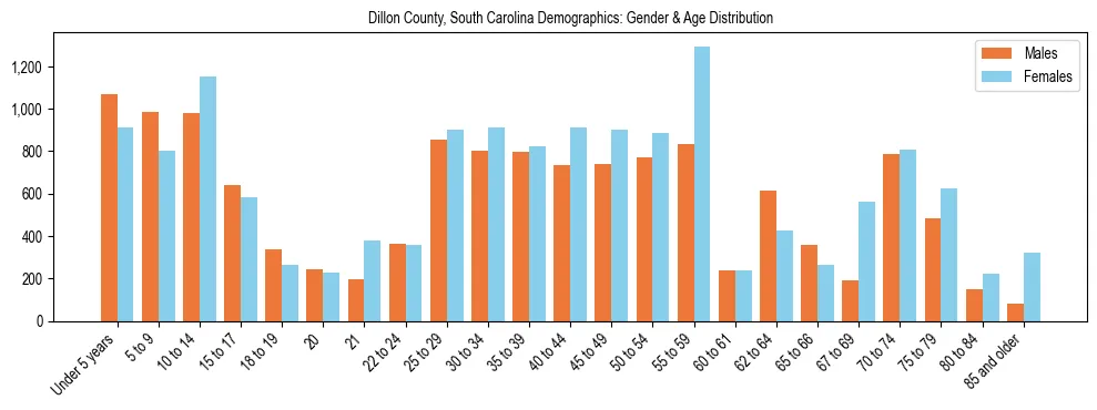 Bar chart showing the population distribution of Dillon County, South Carolina by age group and gender, based on 2023 ACS data.