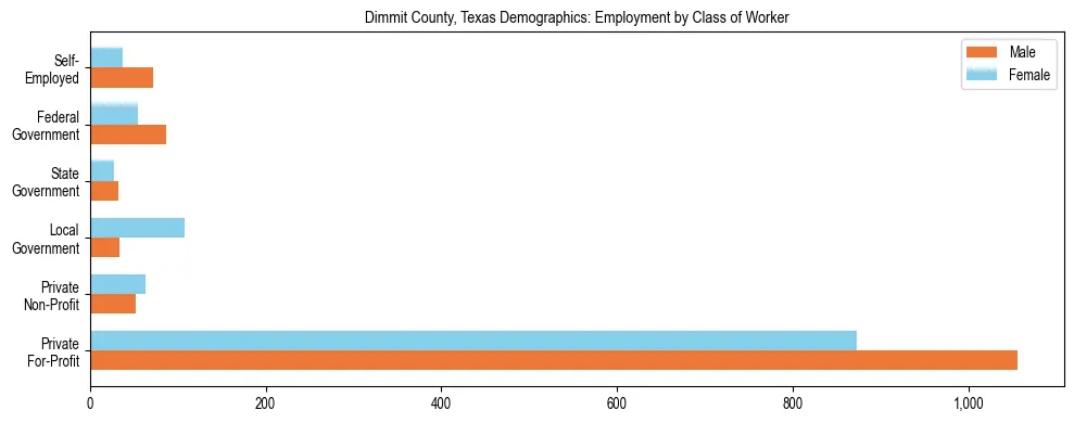 Horizontal bar chart showing employment distribution by class of worker and gender in Dimmit County, Texas, based on 2023 ACS data.