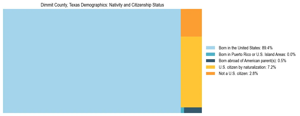 Treemap showing the population distribution by nativity and citizenship status in Dimmit County, Texas based on U.S. Census data.