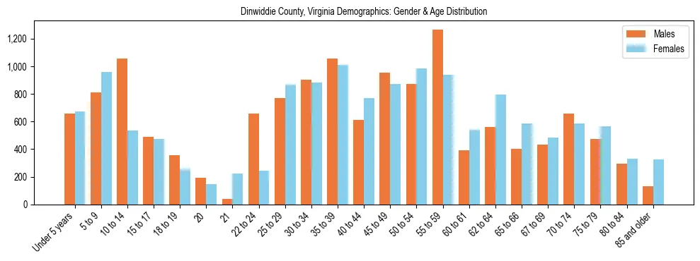 Bar chart showing the population distribution of Dinwiddie County, Virginia by age group and gender, based on 2023 ACS data.