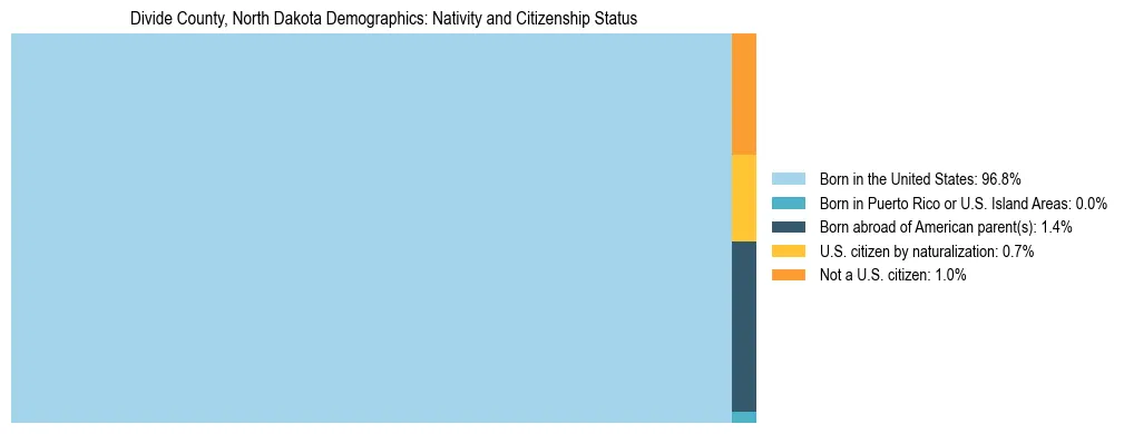 Treemap showing the population distribution by nativity and citizenship status in Divide County, North Dakota based on U.S. Census data.