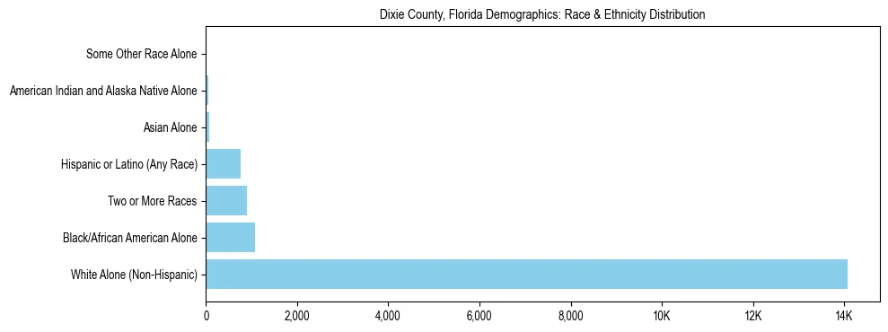 Race and Ethnicity Distribution Chart for Dixie County, Florida
