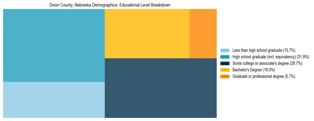 Treemap chart illustrating the educational attainment breakdown for population 25 years and over in Dixon County, Nebraska.