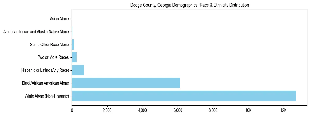 Race and Ethnicity Distribution Chart for Dodge County, Georgia
