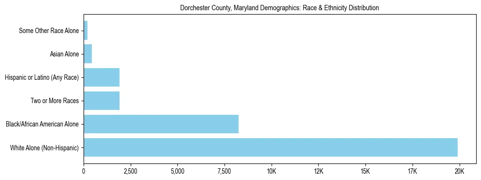 Race and Ethnicity Distribution Chart for Dorchester County, Maryland