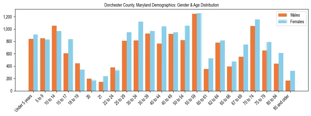Bar chart showing the population distribution of Dorchester County, Maryland by age group and gender, based on 2023 ACS data.