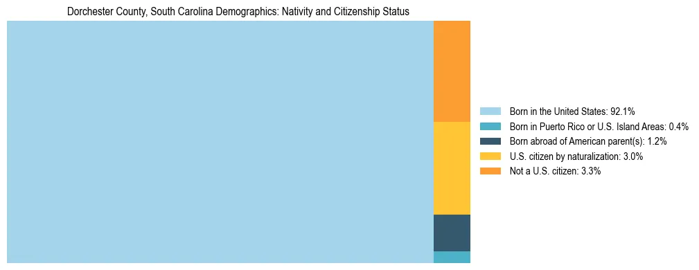 Treemap showing the population distribution by nativity and citizenship status in Dorchester County, South Carolina based on U.S. Census data.