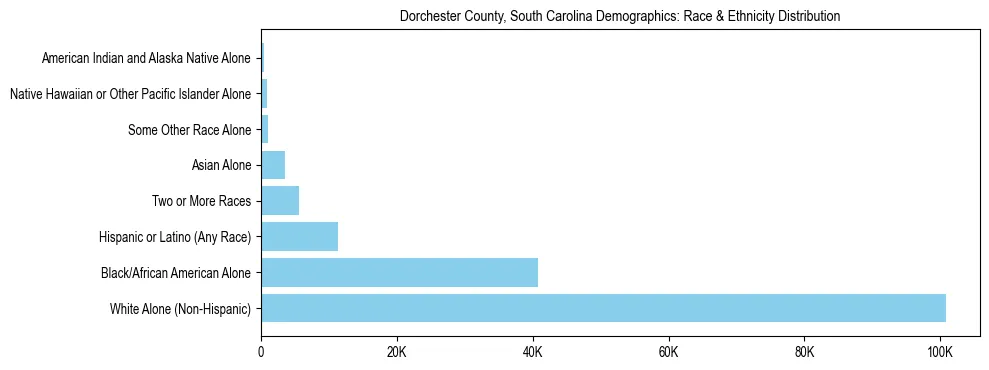 Race and Ethnicity Distribution Chart for Dorchester County, South Carolina