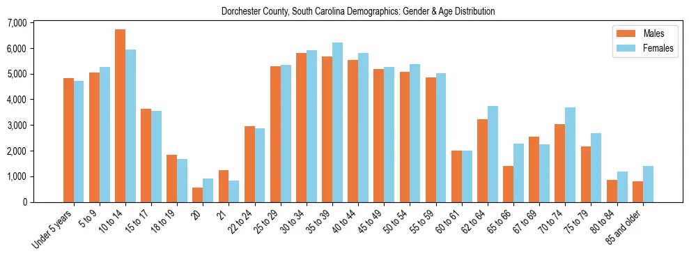 Bar chart showing the population distribution of Dorchester County, South Carolina by age group and gender, based on 2023 ACS data.