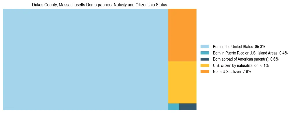 Treemap showing the population distribution by nativity and citizenship status in Dukes County, Massachusetts based on U.S. Census data.