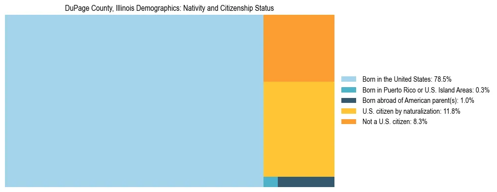 Treemap showing the population distribution by nativity and citizenship status in DuPage County, Illinois based on U.S. Census data.