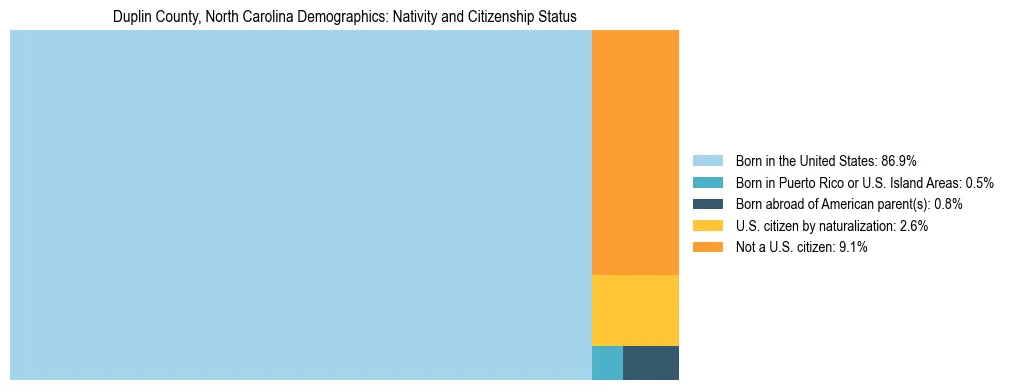 Treemap showing the population distribution by nativity and citizenship status in Duplin County, North Carolina based on U.S. Census data.