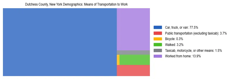 Treemap showing means of transportation to work distribution in Dutchess County, New York.