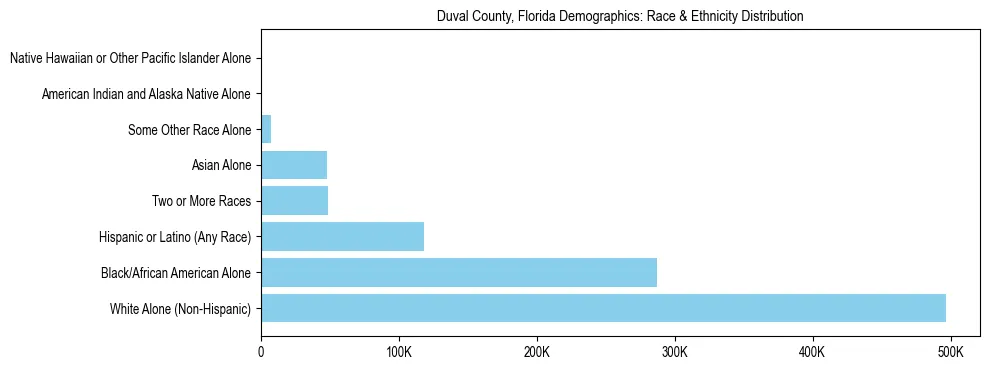 Race and Ethnicity Distribution Chart for Duval County, Florida