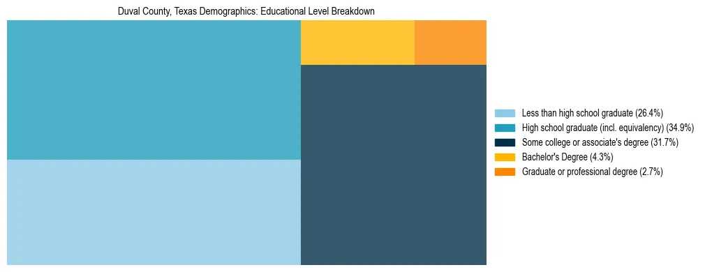 Treemap chart illustrating the educational attainment breakdown for population 25 years and over in Duval County, Texas.