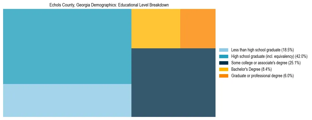 Treemap chart illustrating the educational attainment breakdown for population 25 years and over in Echols County, Georgia.
