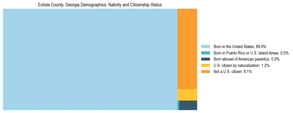 Treemap showing the population distribution by nativity and citizenship status in Echols County, Georgia based on U.S. Census data.