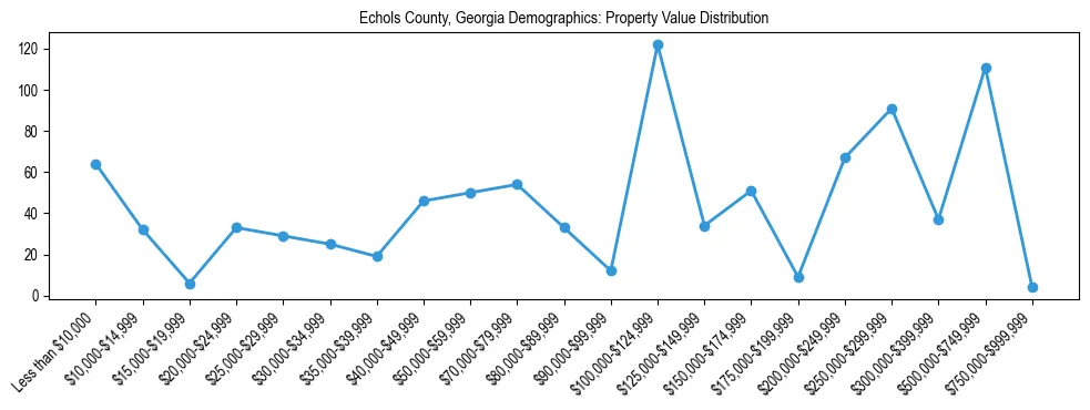 Line chart showing the distribution of property values for owner-occupied housing units in Echols County, Georgia.