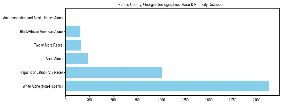 Race and Ethnicity Distribution Chart for Echols County, Georgia