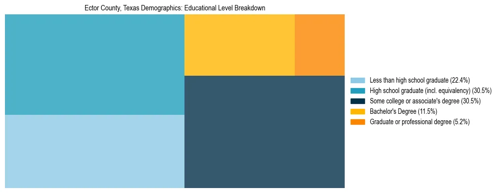 Treemap chart illustrating the educational attainment breakdown for population 25 years and over in Ector County, Texas.