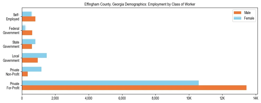 Horizontal bar chart showing employment distribution by class of worker and gender in Effingham County, Georgia, based on 2023 ACS data.