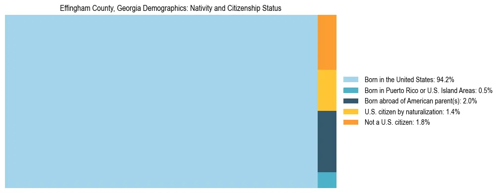 Treemap showing the population distribution by nativity and citizenship status in Effingham County, Georgia based on U.S. Census data.