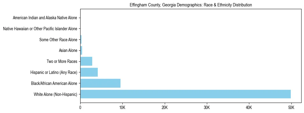 Race and Ethnicity Distribution Chart for Effingham County, Georgia