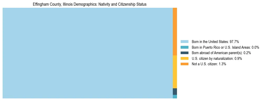 Treemap showing the population distribution by nativity and citizenship status in Effingham County, Illinois based on U.S. Census data.
