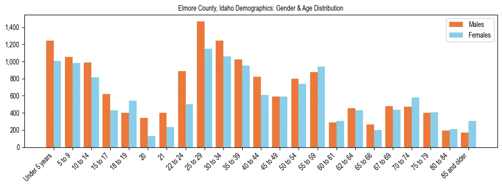 Bar chart showing the population distribution of Elmore County, Idaho by age group and gender, based on 2023 ACS data.